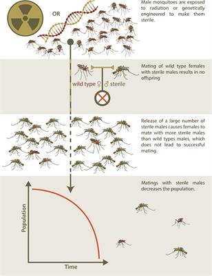 Genetic Biocontrol for Invasive Species